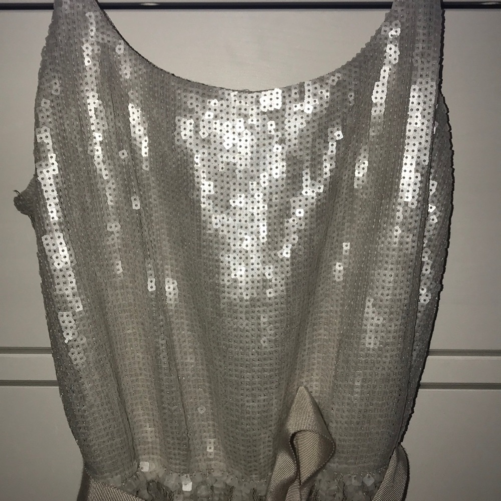Beautiful Sequin Silver Dress From Express - Picture 6 of 7